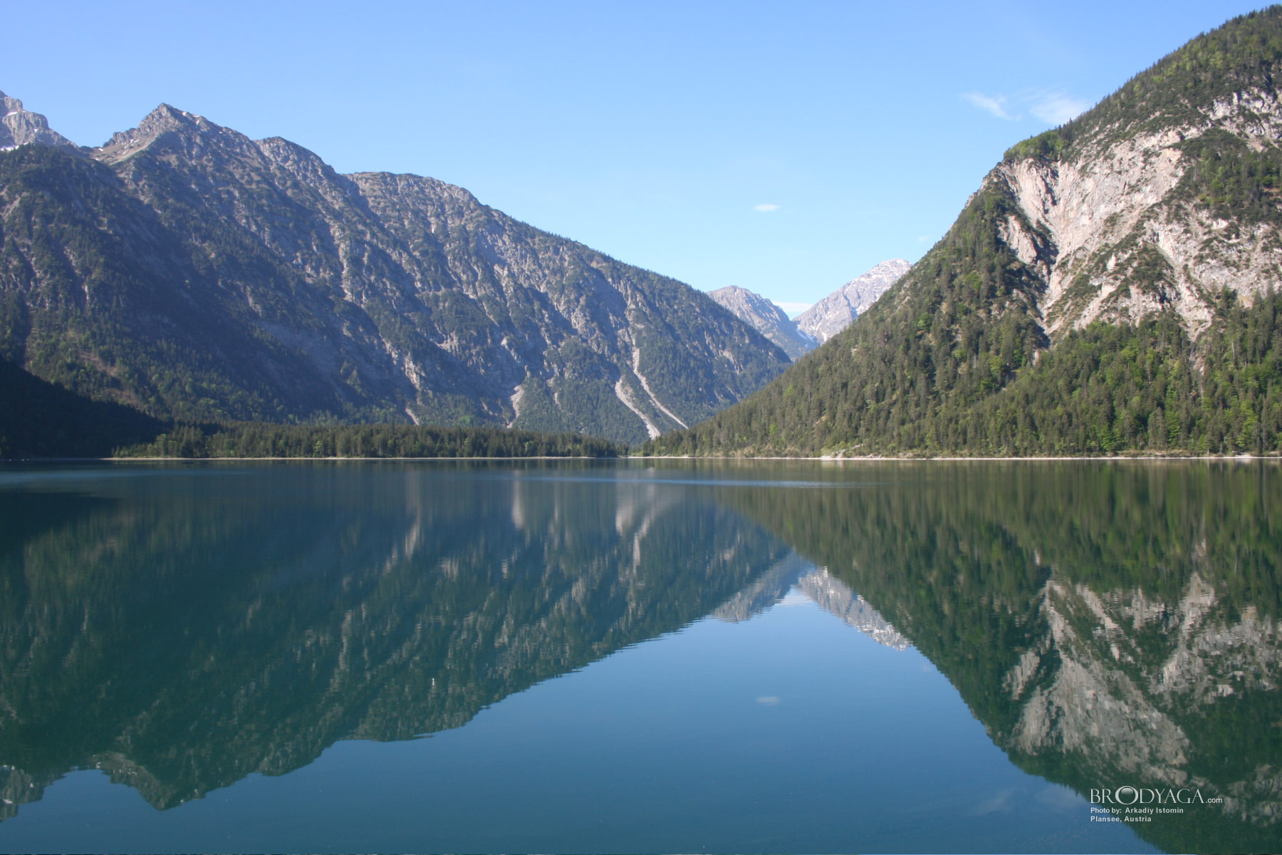 Plansee